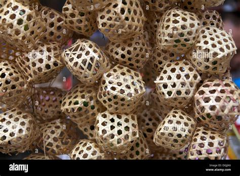 how are crickets captured in china